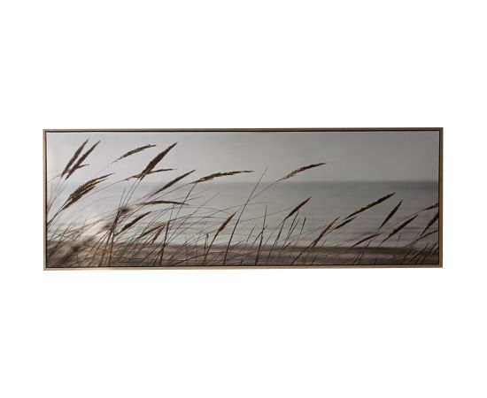 Kanva ar rāmi WALLY 50x140cm, niedras