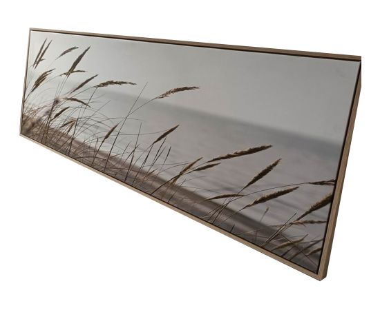 Kanva ar rāmi WALLY 50x140cm, niedras