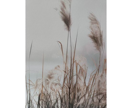 Wall art WALLY 50x140cm, rushes by the lake