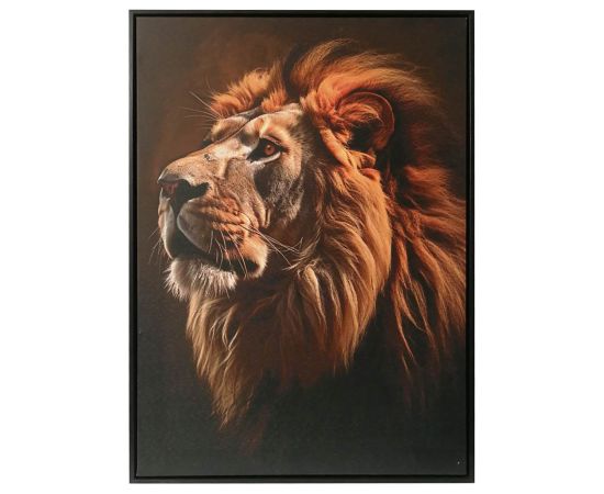 Kanva ar rāmi WALLY 50x70cm, lauva