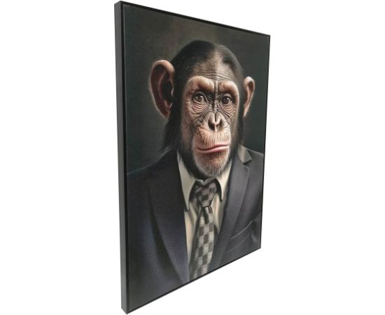 Kanva ar rāmi WALLY 50x70cm, Pērtiķa kungs