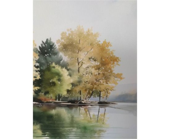 Kanva ar rāmi WALLY 45x60cm, mežs pie ezera