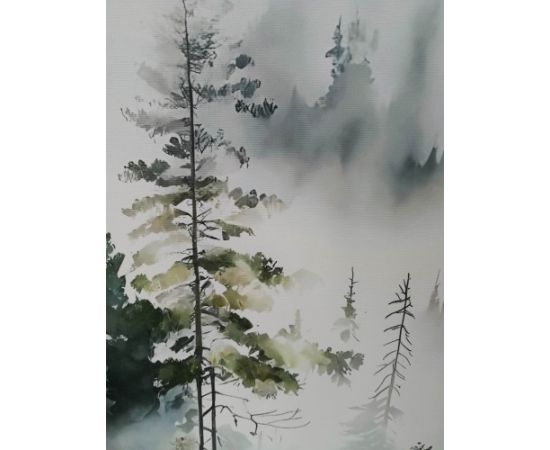 Kanva ar rāmi WALLY 45x60cm, miglains mežs