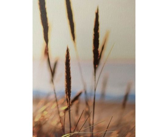 Kanva ar rāmi WALLY 30x90cm, meldri