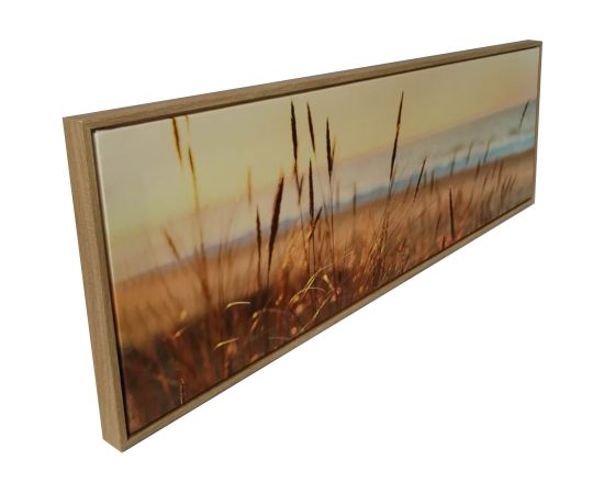 Kanva ar rāmi WALLY 30x90cm, meldri