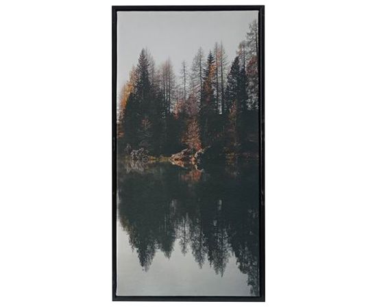 Kanva ar rāmi WALLY 30x60cm, mežs C