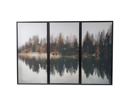 Kanva ar rāmi WALLY 30x60cm, mežs C