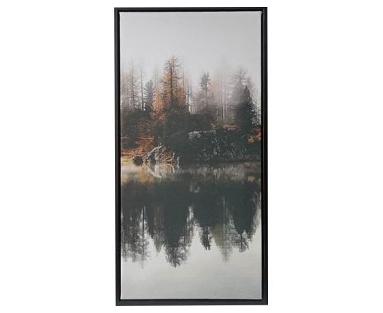 Kanva ar rāmi WALLY 30x60cm, mežs B