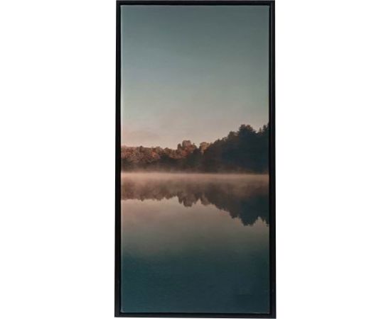 Kanva ar rāmi WALLY 30x60cm, ezers C