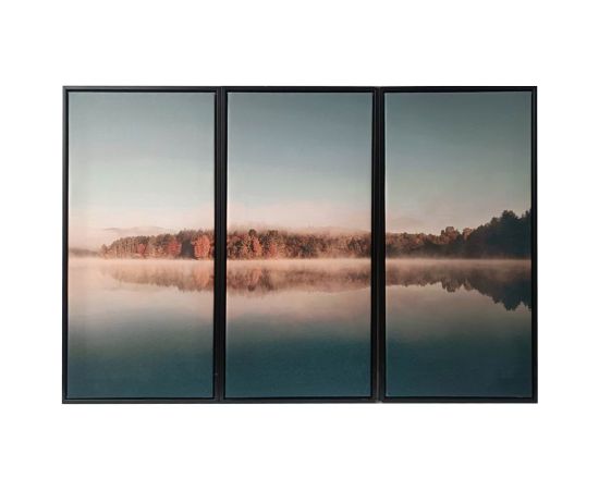 Kanva ar rāmi WALLY 30x60cm, ezers B
