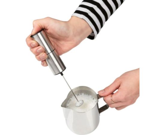 Milk foamer Proficook