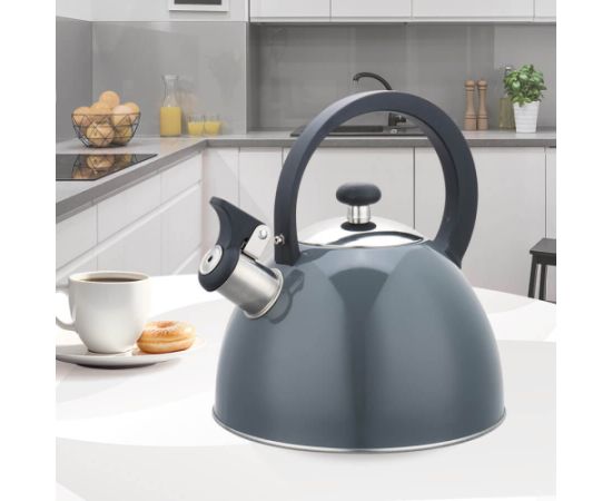 Czajnik 2,5L MAESTRO MR-1302-GREY