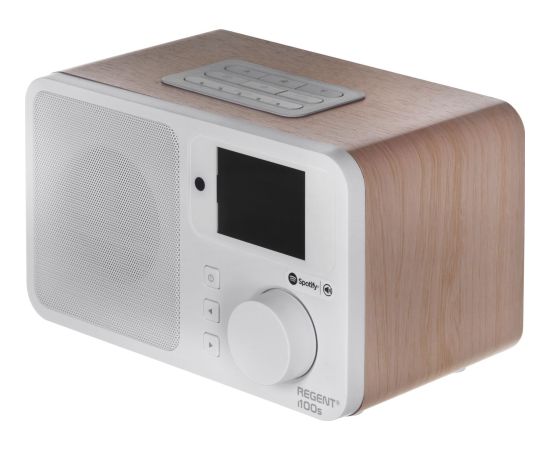 Interneta Radio Ferguson Regent i100S