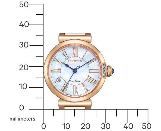 Citizen Eco-Drive EM1063-89D