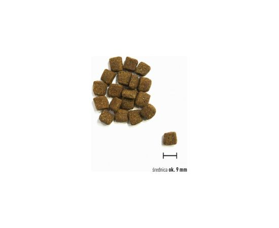 ORIJEN Small Breed Marine Fish - dry dog food - 1,8kg
