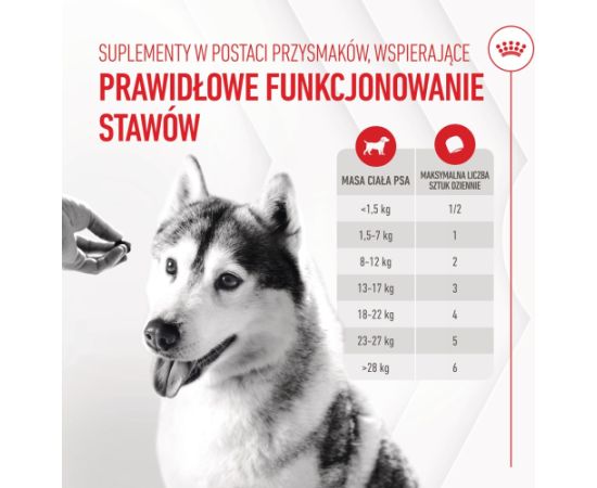 ROYAL CANIN Supplements Dog Joint & Ageing Adult - dog vitamins - 240g