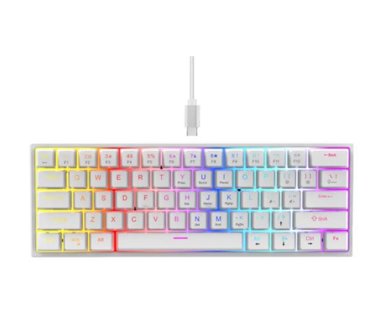 RoGer K61 Spēļu Mehāniskā tastatūra RGB / Balta