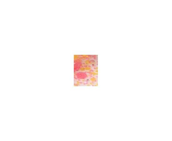 Gabriella Salvete GeLove / UV & LED 8ml