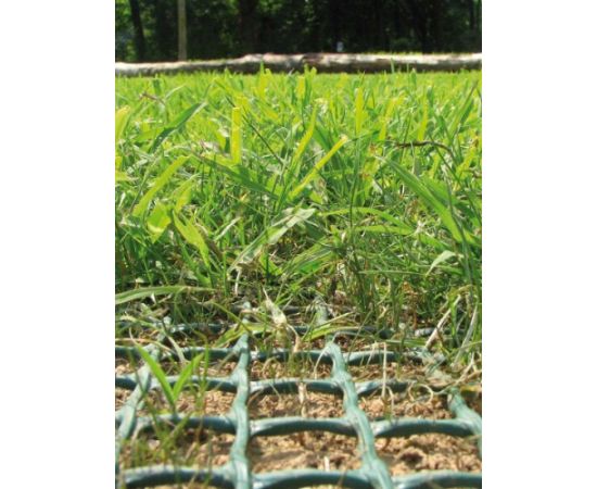 Армирующая сетка для газонов TR FLEX (2x30 м)