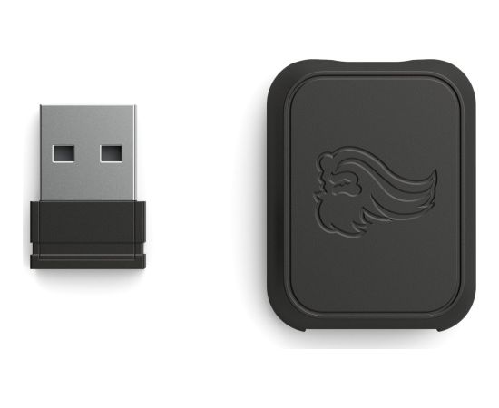Glorious PC Gaming Race Wireless Dongle Kit - schwarz, matt