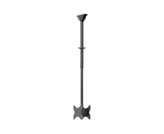 Newstar TV SET ACC CEILING MOUNT DUAL/23-42" CL35-340BL22 NEOMOUNTS