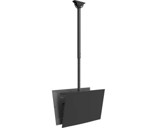 Newstar TV SET ACC CEILING MOUNT DUAL/23-42" CL35-340BL22 NEOMOUNTS