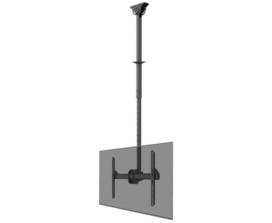 Newstar TV SET ACC CEILING MOUNT/37-70" CL35-440BL16L NEOMOUNTS