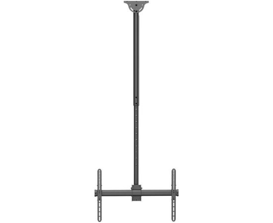 Newstar TV SET ACC CEILING MOUNT/37-70" CL35-440BL16L NEOMOUNTS