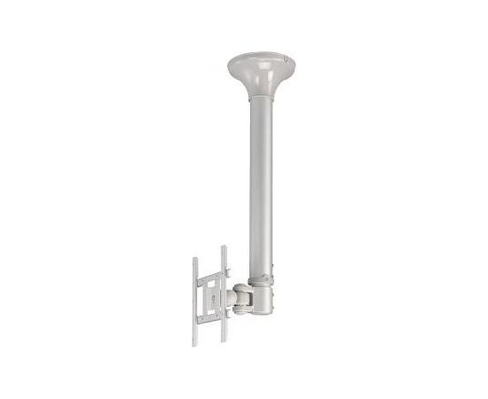 Newstar TV SET ACC CEILING MOUNT SILV./10-40" FPMA-C200 NEOMOUNTS