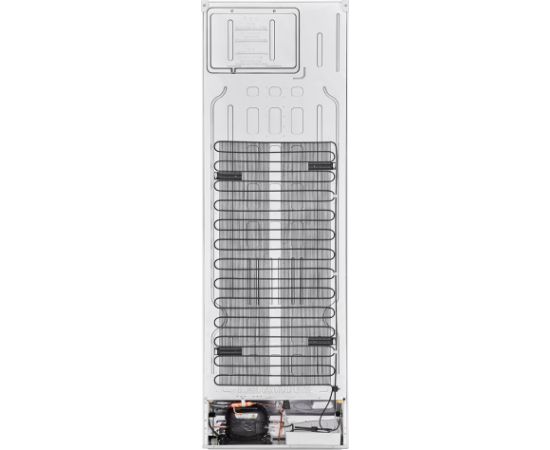 LG GBV3100ESW Ledusskapis 186cm Balts