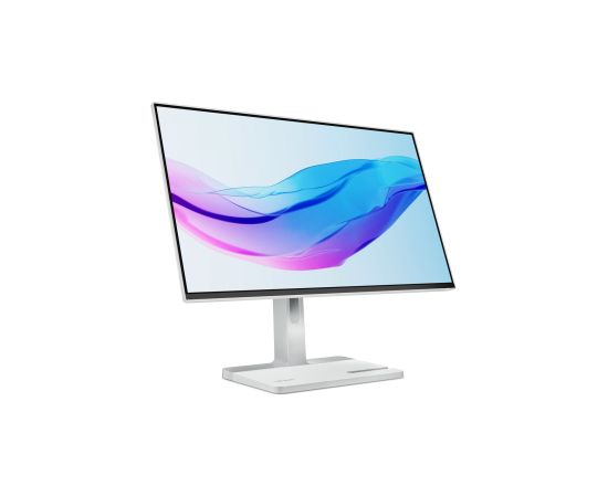Lenovo L24m-4A LED display 60.5 cm (23.8") 1920 x 1080 pixels Full HD Grey