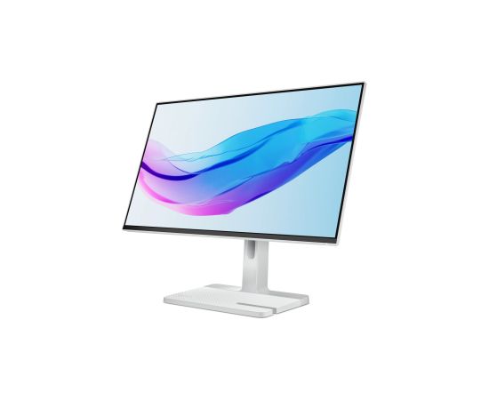 Lenovo L24m-4A LED display 60.5 cm (23.8") 1920 x 1080 pixels Full HD Grey