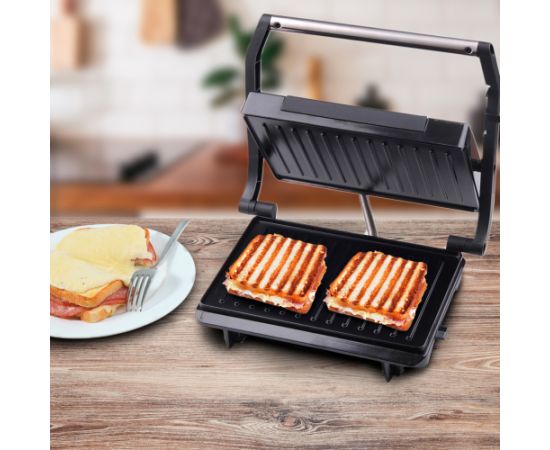 Techwood Panini grill TPG-756