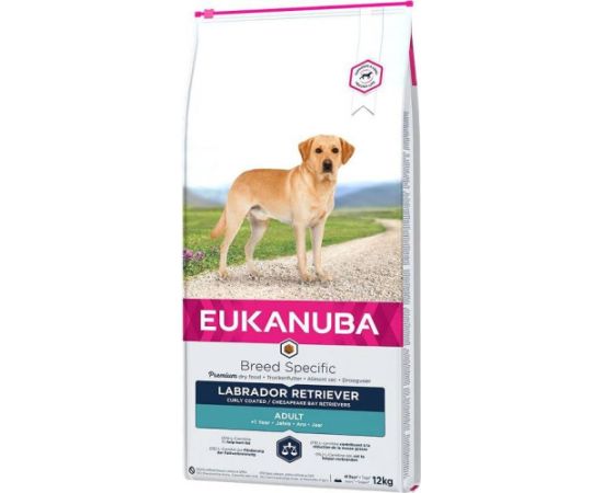 EUKANUBA Labrador Retriever Adult - dry dog food - 12 kg