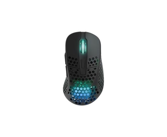 Datorpele Cherry XTRFY M4 RGB Wireless black