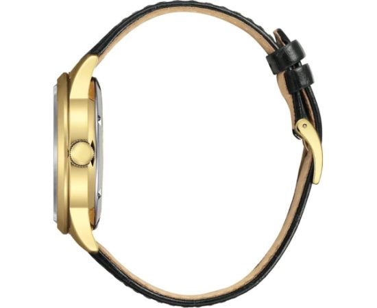 Citizen Automatic NY4059-09AE