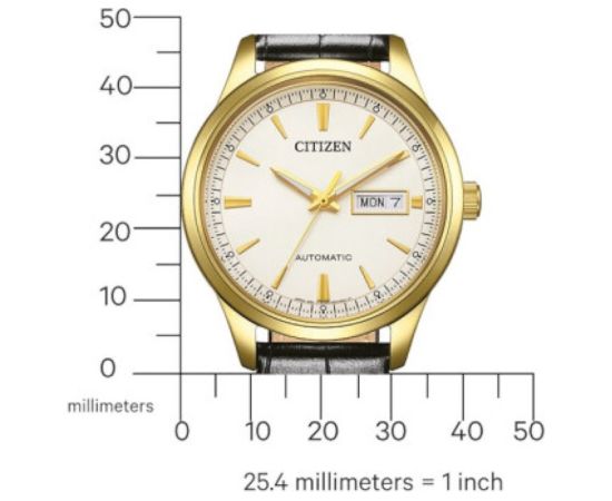 Citizen Automatic NY4059-09AE
