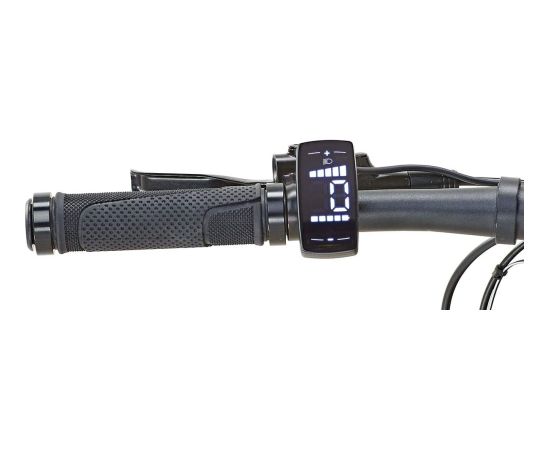 Prophete Urbanicer 21.EMU.10 (2021), Pedelec (black (matt), 28, 55 cm frame)