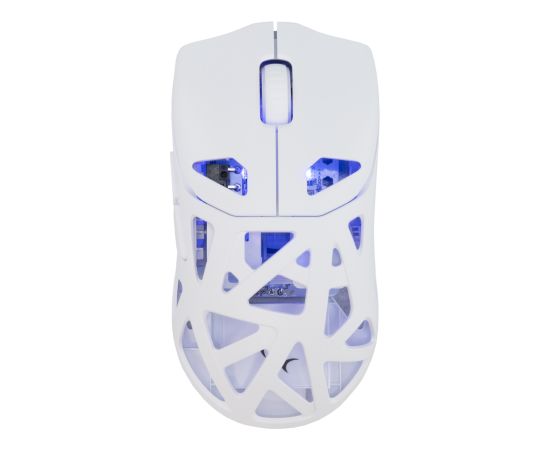 White Shark GM-5019 Dagonet Wireless 24000 dpi White