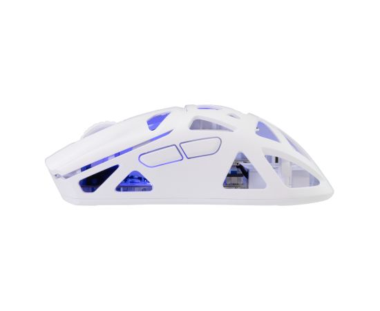 White Shark GM-5019 Dagonet Wireless 24000 dpi White