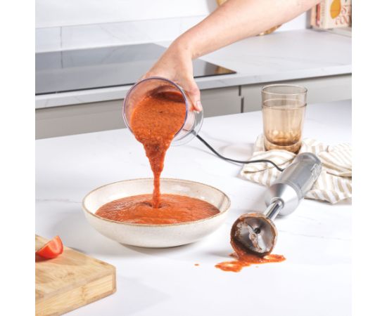 Salter EK4587MMSVDE Aspen Blend and Whisk Pro
