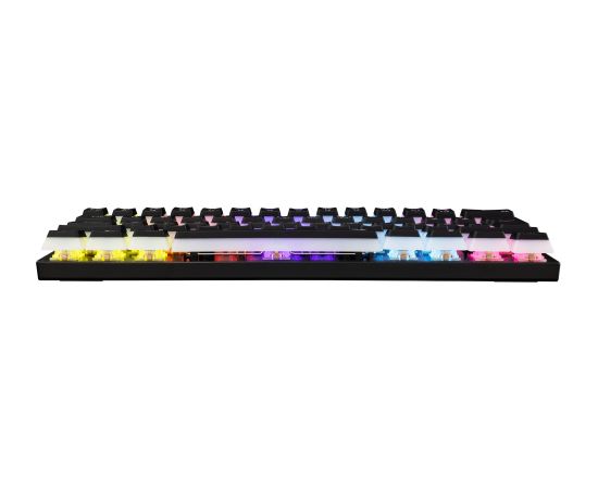 White Shark GK-2202 Ashiko-2 Black/Red US