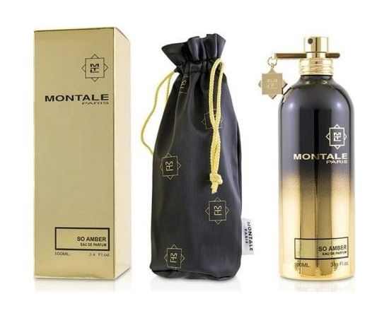 Montale Paris Montale Montale SO AMBER edp 100 ml folia