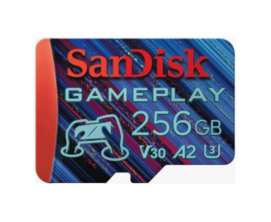MEMORY MICRO SDXC 256GB UHS-I/SDSQXAV-256G-GN6XN SANDISK