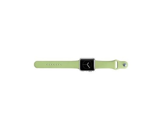 Snaige Apple  Silicone Strap For Apple Watch 42mm Green