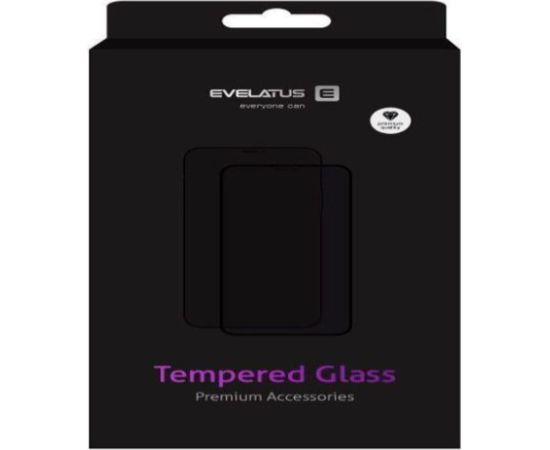 Evelatus Apple  iPhone 12 Pro Max 6.7'' 0.33 Flat Clear Glass Japan Glue Anti-Static