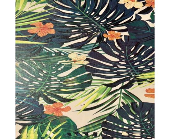 Evelatus Universal  Ferns Colorful Film for Screen Cutter