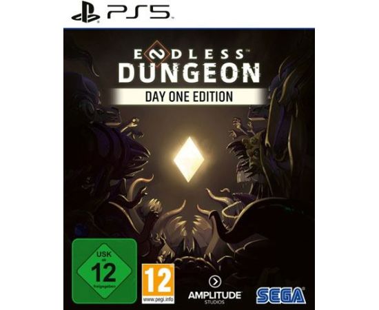 PS5 Endless Dungeon Playstation 5 video spēle