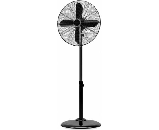 Pedestal fan Proficare, black steel