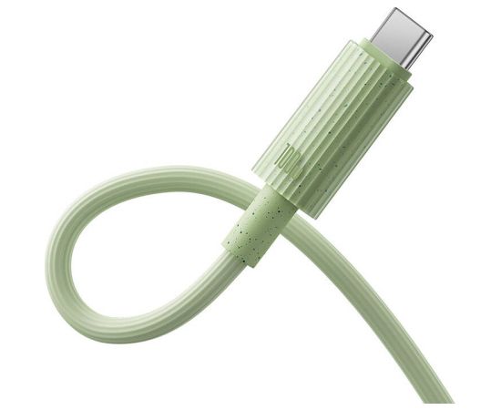 Fast Charging cable Baseus USB to USB-C Habitat Series 2m 100W (green)